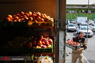 ارزانی به بازار میوه شب عید می‌رسد؟