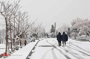 بارش برف در آخرین روز بهمن، مناطقی از کشور را سفیدپوش کرد
