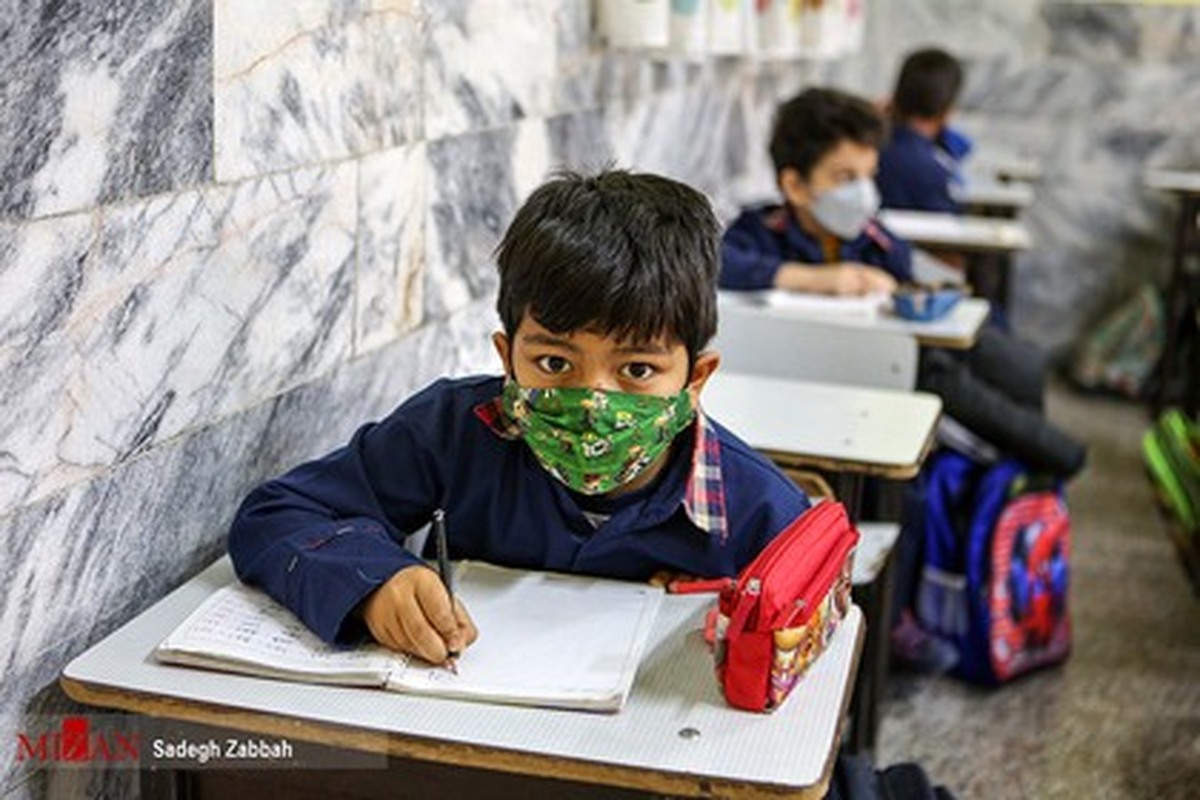 دولت مکلف به توزیع شیر رایگان در مدارس ابتدایی دولتی شد