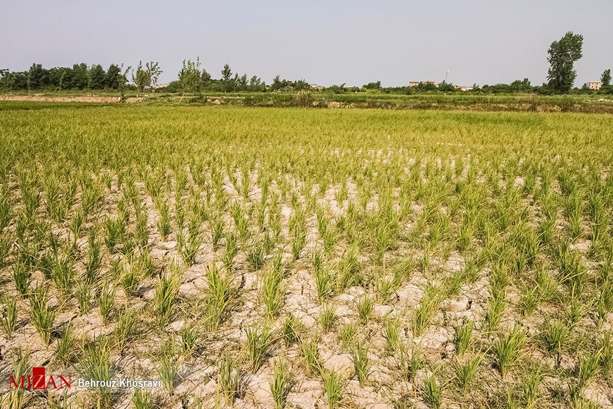 تسریع در اجرای برنامه‌های آب و خاک بخش کشاورزی با همراهی سازمان برنامه و بودجه