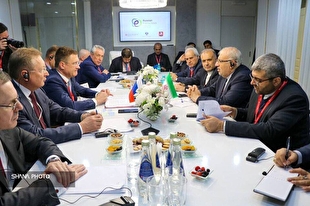 گفت‌وگوی اوجی و معاون نخست‌وزیر روسیه درباره توسعه مناسبات تهران و مسکو