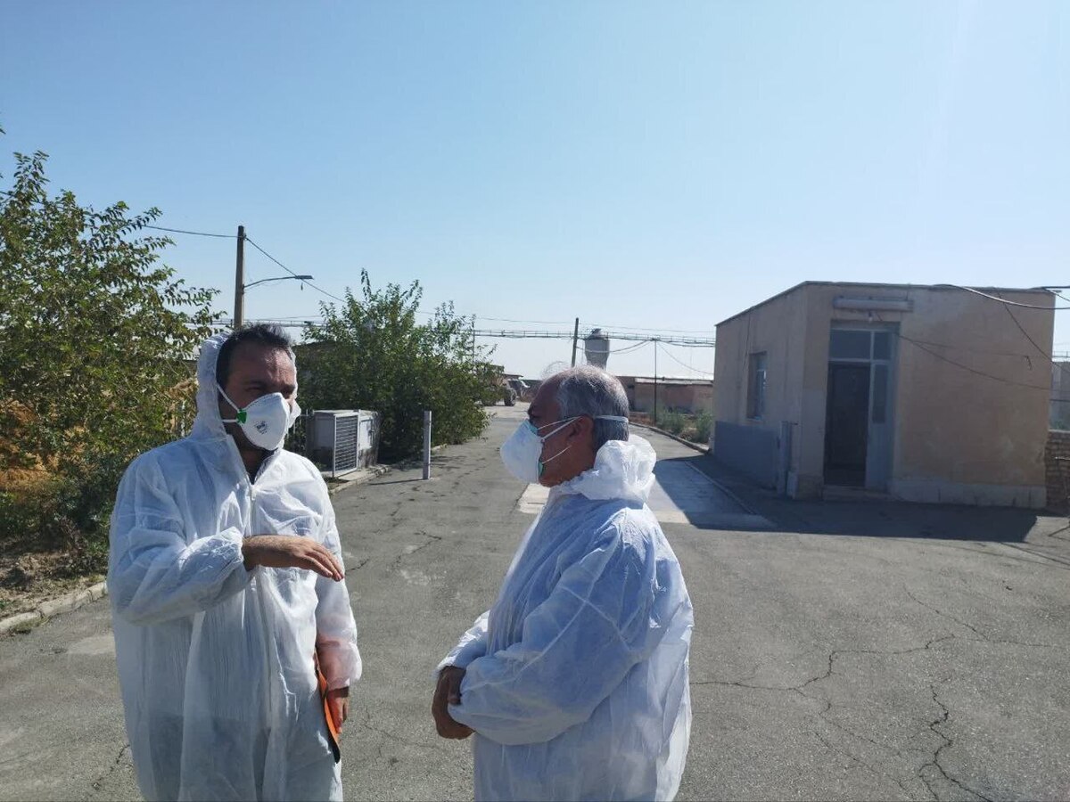 اتخاذ تمهیدات لازم برای پیشگیری و مقابله با آنفلوآنزای فوق حاد پرندگان در استان تهران