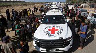 Israel confirms receipt of the bodies of four prisoners