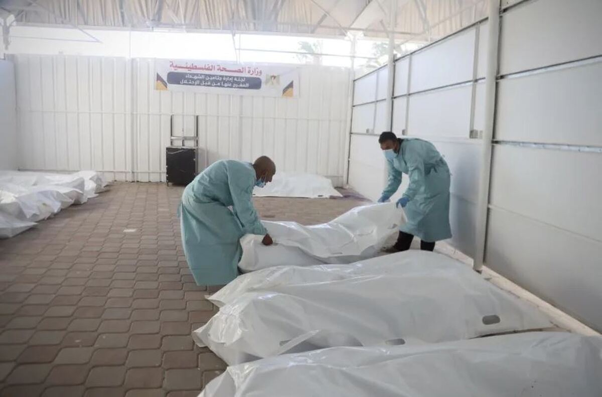 The theft of Palestinian martyrs’ organs by Israel