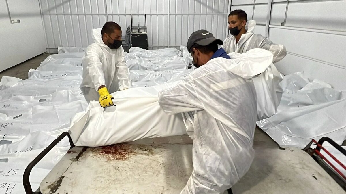 Bound, blindfolded, and killed: The tragic fate of Gaza detainees at Sedetiman prison