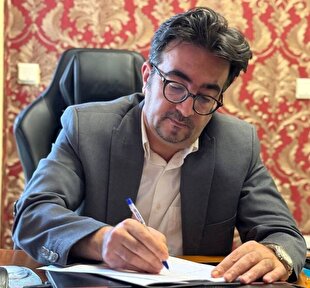 The Iranian standard: A solution for confronting the Louvre Museum heist scandal