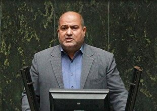 Specialized jihad volunteers are promoters of health equity