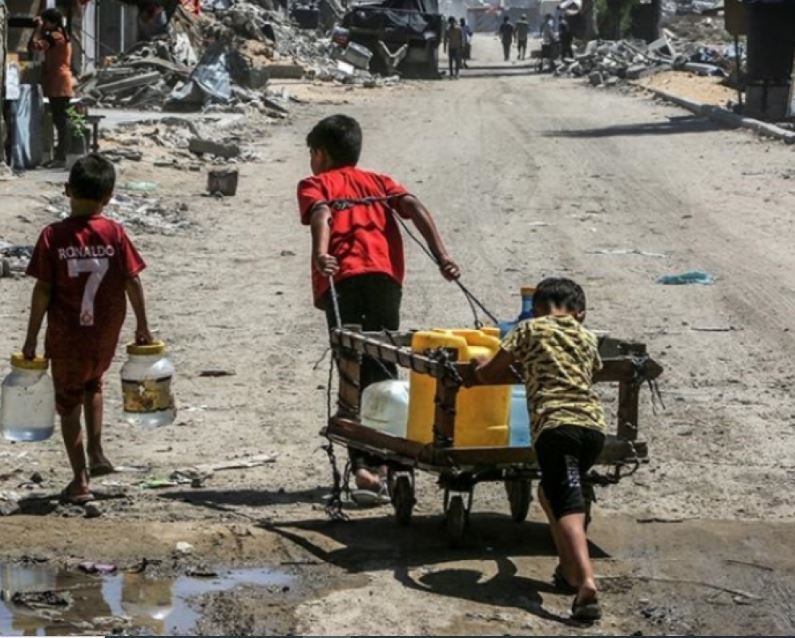 Gaza’s struggle to survive: Genocide, ecocide, and the collapse of life