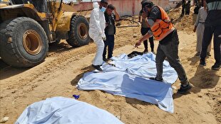 Mass graves and missing organs: New evidence of human rights crimes of Israel in Gaza
