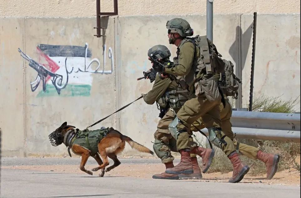 The Netherlands' complicity in Israeli crimes by sending military dogs The Netherlands' complicity in Israeli crimes by sending military dogs