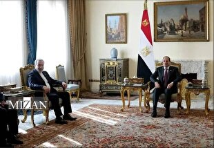 Iran and Egypt on the path to developing bilateral relations