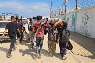 Nearly 2,000 Palestinians killed while waiting in food distribution lines