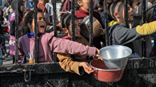 193 martyred in Gaza due to starvation and malnutrition