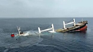 64 shipping giants blacklisted by Yemen over Israel links