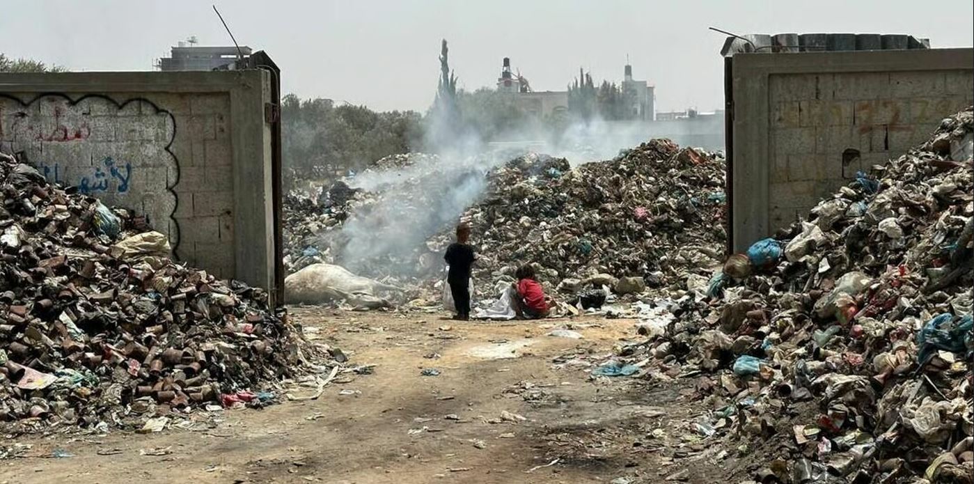 Ecocide and Genocide in Gaza: How war is unmaking an ecosystem