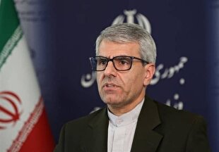 Beghaei comments on French obstruction in Mahdieh Esfandiari’s Release