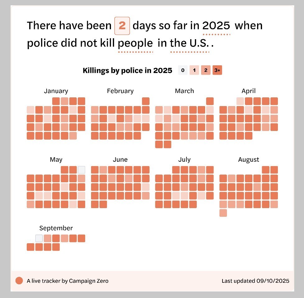 Only two days without killings: America’s grim policing record in 2025 Only two days without killings: America’s grim policing record in 2025