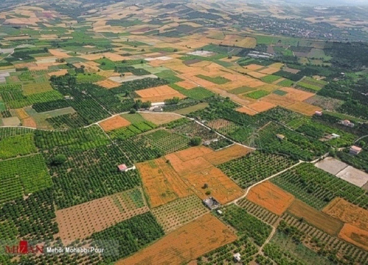 رشد ۶۱۴ درصدی صدور اسناد حدنگار برای اراضی زراعی در استان هرمزگان