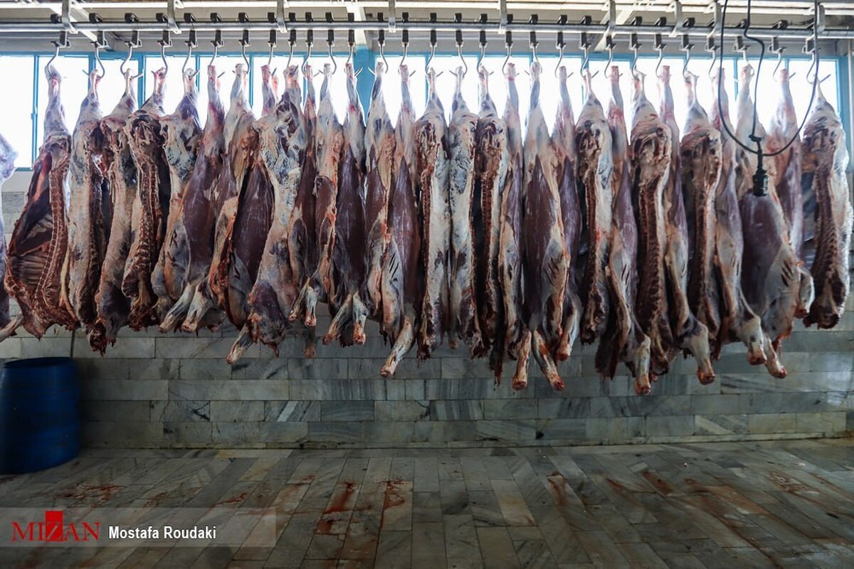 سازمان دامپزشکی کشور: گوشت‌های برزیلی موجود در بازار سالم و بهداشتی است