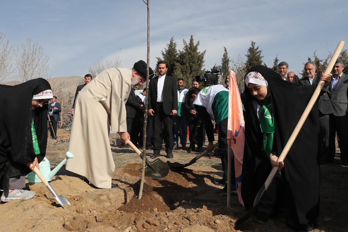 رئیس جمهور: کاشت ۱ میلیارد درخت در ۴ سال اقدامی ارزنده در راستای حفظ محیط زیست و توسعه پایدار کشور است