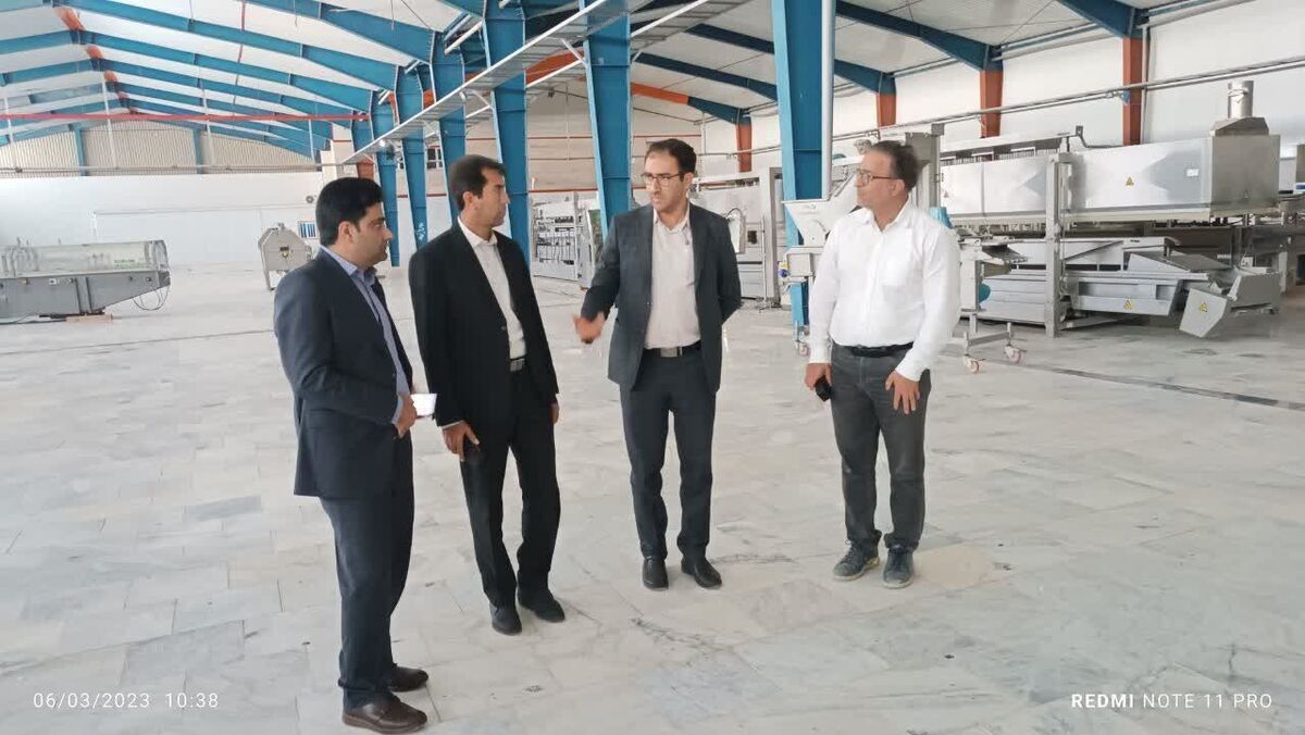 مشکلات و مطالبات کارگران واحد تولیدی با کمک دادگستری شهرستان عنبرآباد رسیدگی شد/ حمایت دستگاه قضایی برای راه اندازی فاز دوم کارخانه