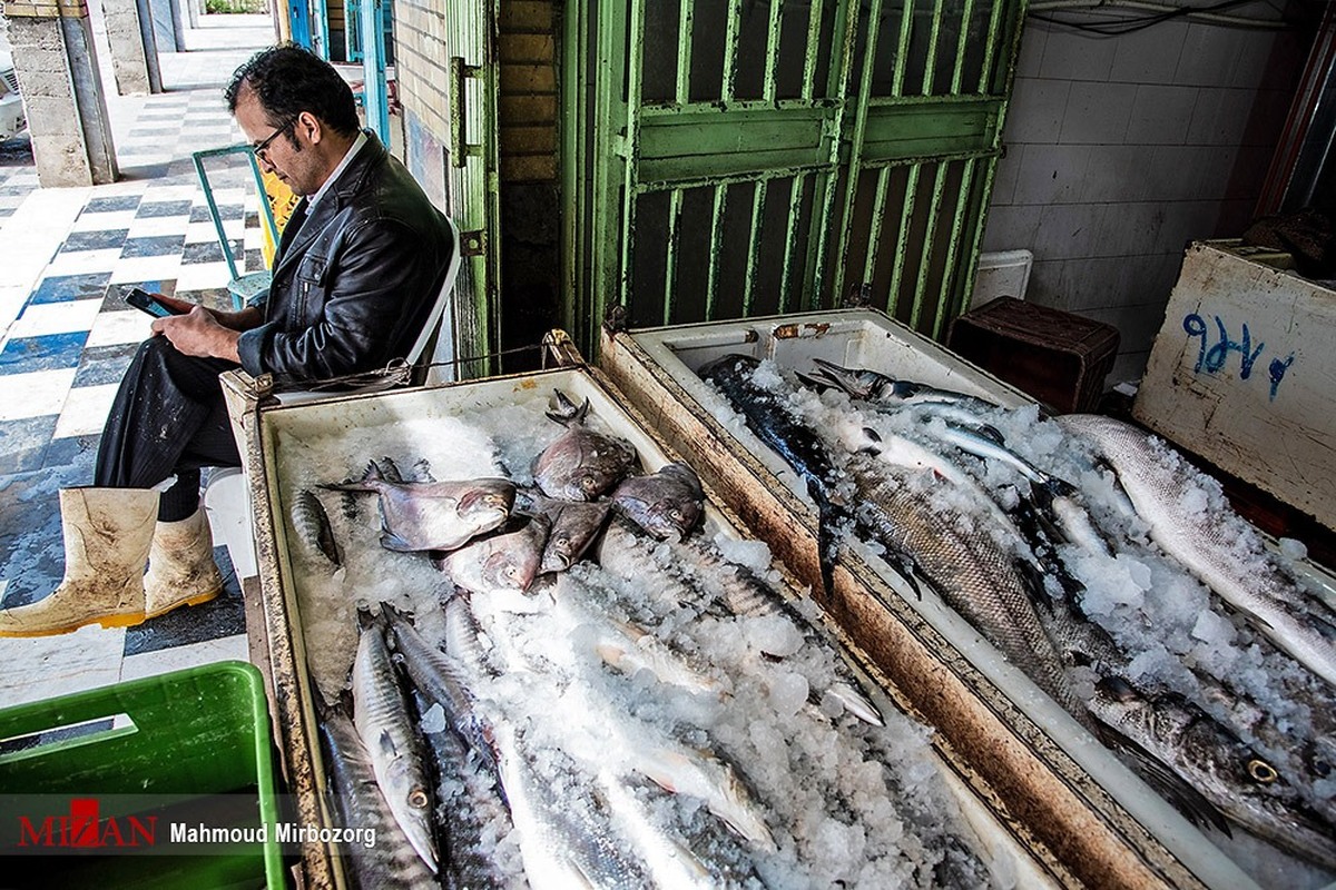 بازار قزل آلا در خارج داغ‌تر از بازار داخل!