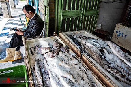 بازار قزل آلا در خارج داغ‌تر از بازار داخل!