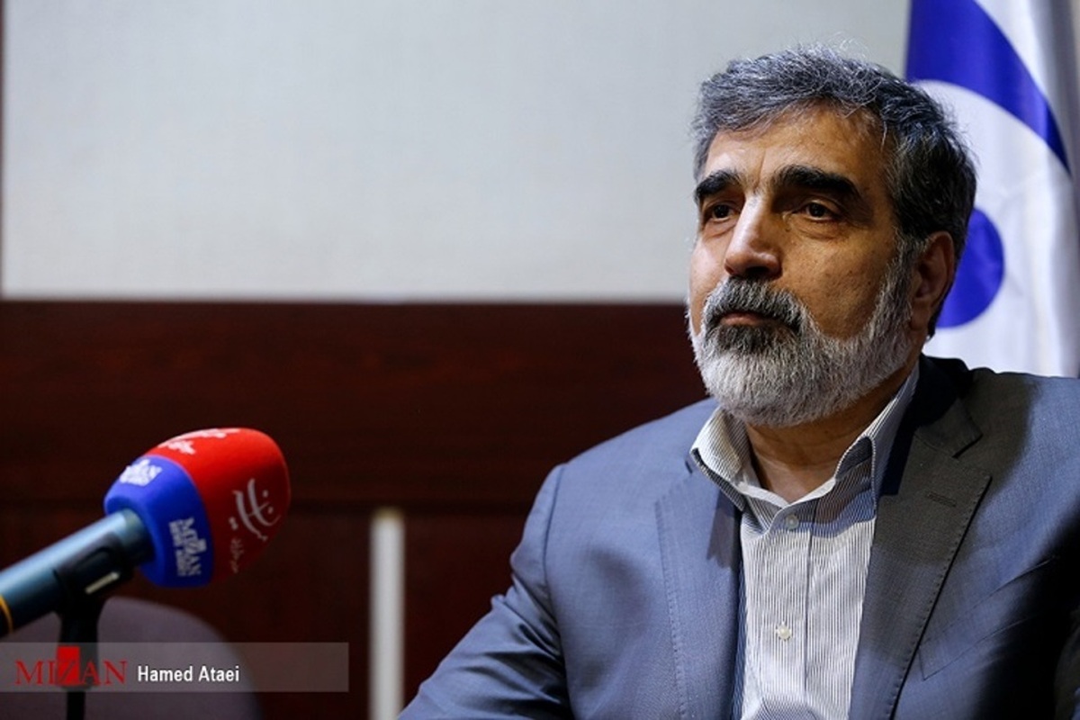 کمالوندی: سفر گروسی به تهران درباره موضوع‌های پادمانی بود