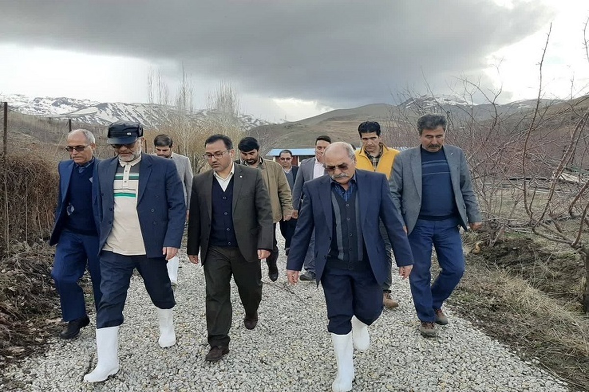 با ورود دستگاه قضایی بزرگترین مجموعه تکثیر و پرورش ماهی قزل‌آلا کشور در استان همدان احیا خواهد شد