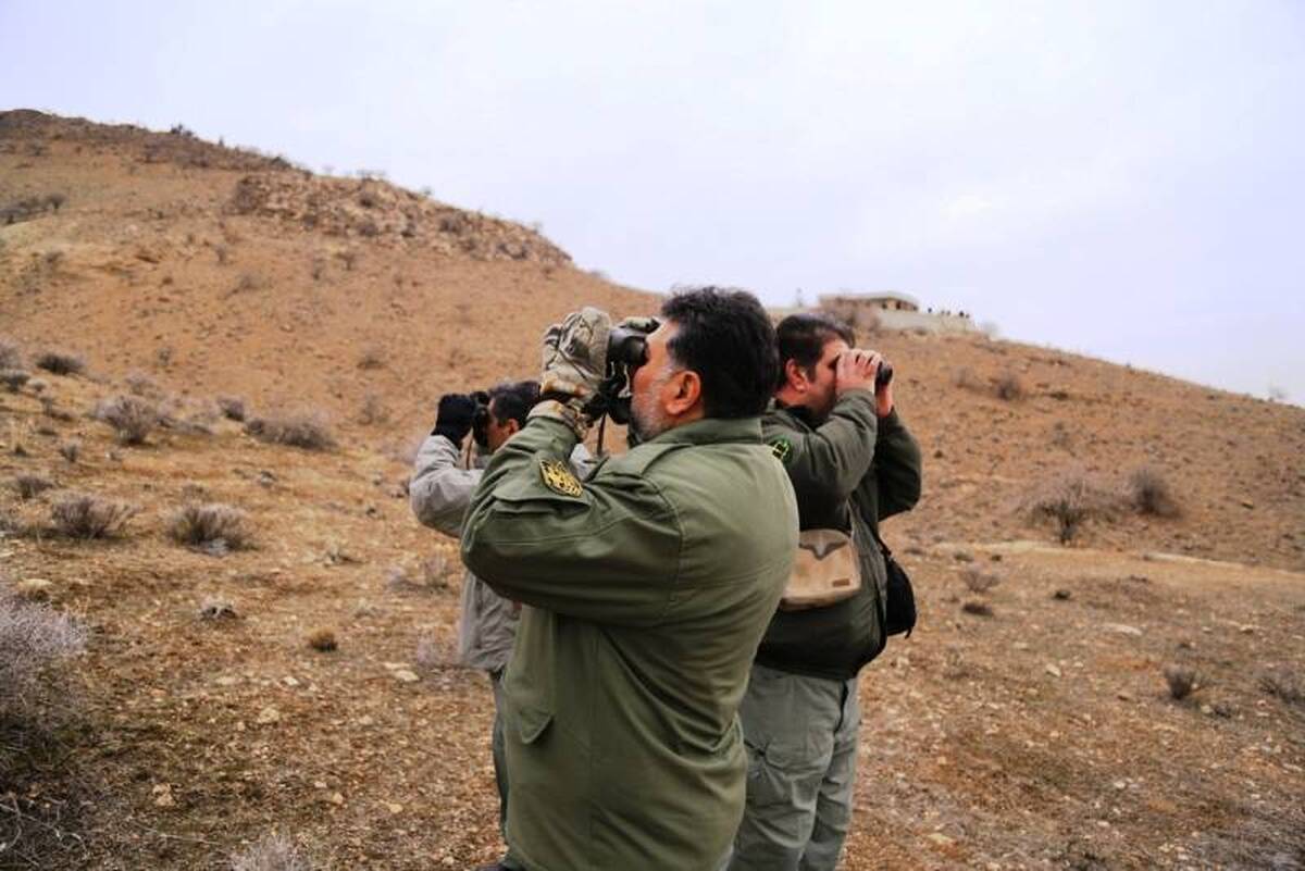 اتمام سرشماری زمستانه حیات وحش استان تهران/ مشاهده ۳۰ گونه مختلف پرندگان