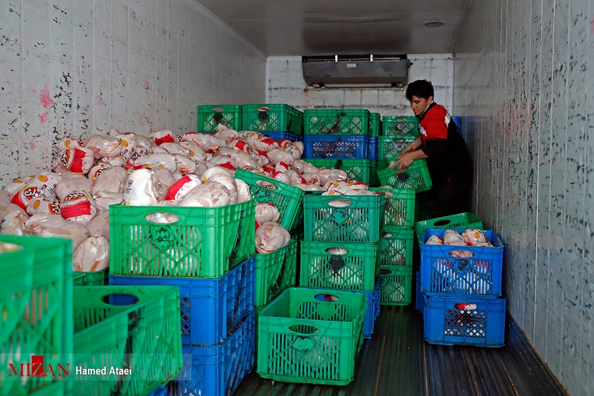 اعلام قیمت گوشت مرغ منجمد تنظیم بازار در میادین