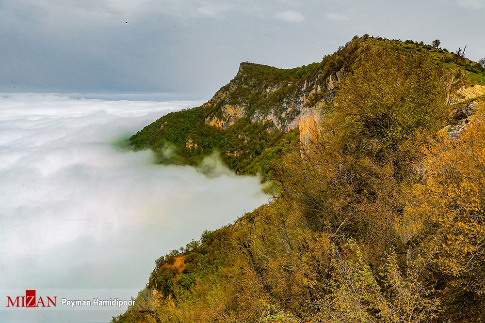 خیز دستگاه قضا برای سند دار کردن زمین های طبیعی، ملی و زراعی / 100 درصد اراضی منابع طبیعی استان گلستان سند دار شده است خیز دستگاه قضا برای سند دار کردن زمین های طبیعی، ملی و زراعی / 100 درصد اراضی منابع طبیعی استان گلستان سند دار شده است