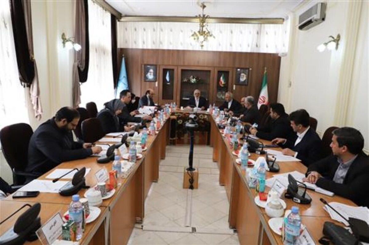 نشست کارگروه حقوقی و قضایی شورای عالی امور ایرانیان خارج از کشور برگزار شد