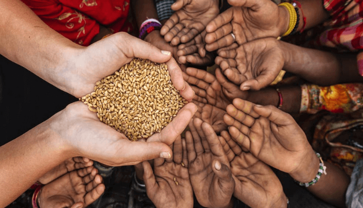 مروری بر وضعیت بحران گرسنگی در جهان