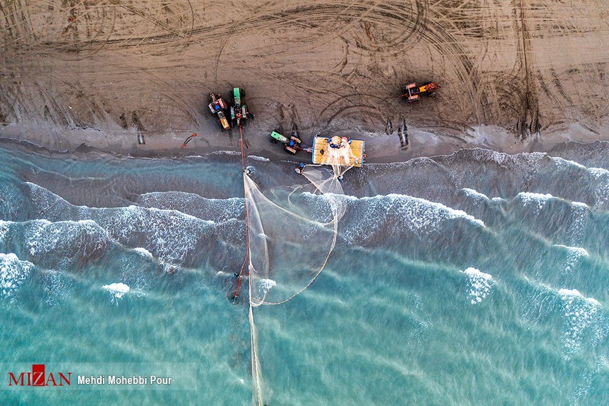افزایش ۸۲ درصدی صید ماهیان استخوانی دریای خزر