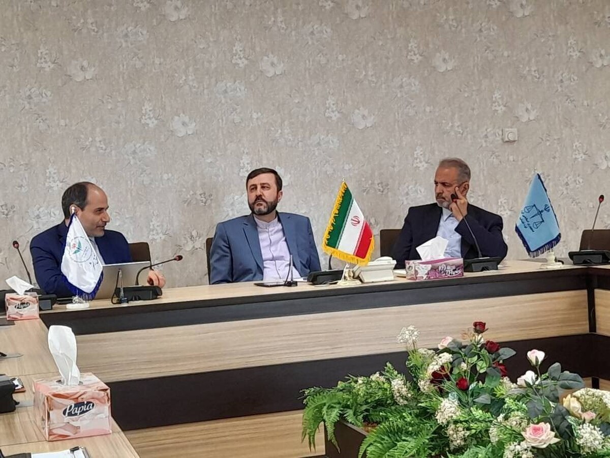 برگزاری نشست مشترک قوه قضاییه و وزارت امور خارجه برای تسهیل ارائه خدمات حقوقی و قضایی به ایرانیان خارج از کشور
