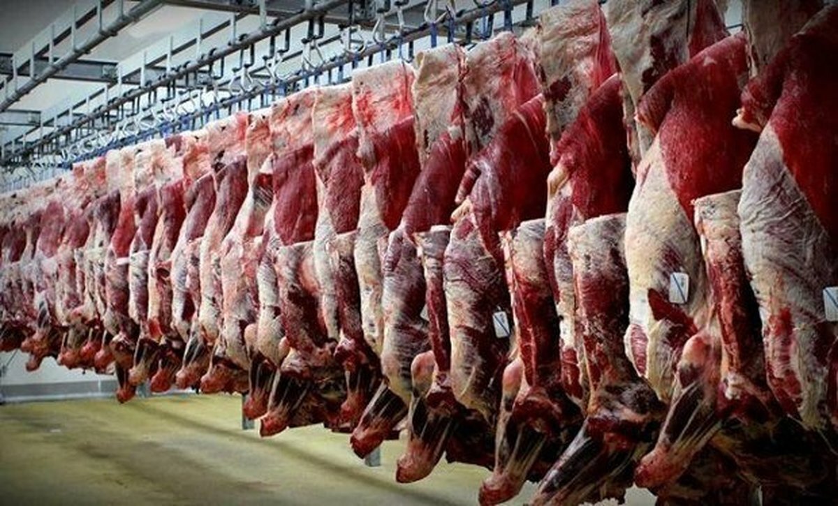 کمبودی در بازار گوشت گرم قرمز وجود ندارد/ روند تامین و توزیع رو به افزایش است