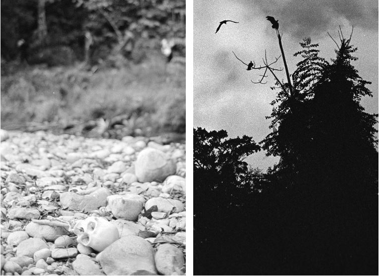 نگاهی به یکی از خطرناک‌ترین مسیرهای مهاجرتی جهان