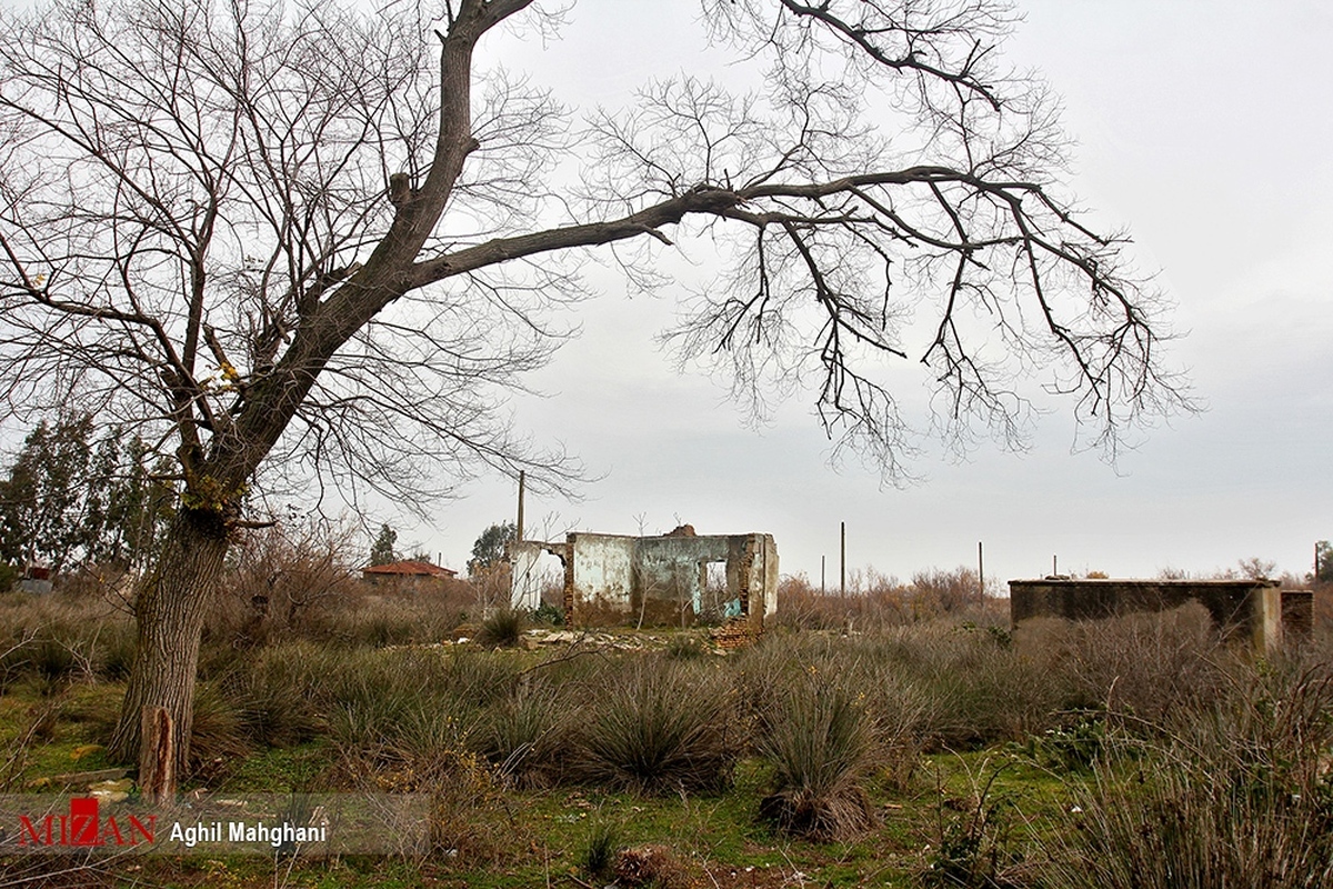 اکوسیستم منطقه آشوراده زیر چتر حمایتی سازمان بازرسی/ هیئت ارزیابی به منطقه اعزام می‌شود