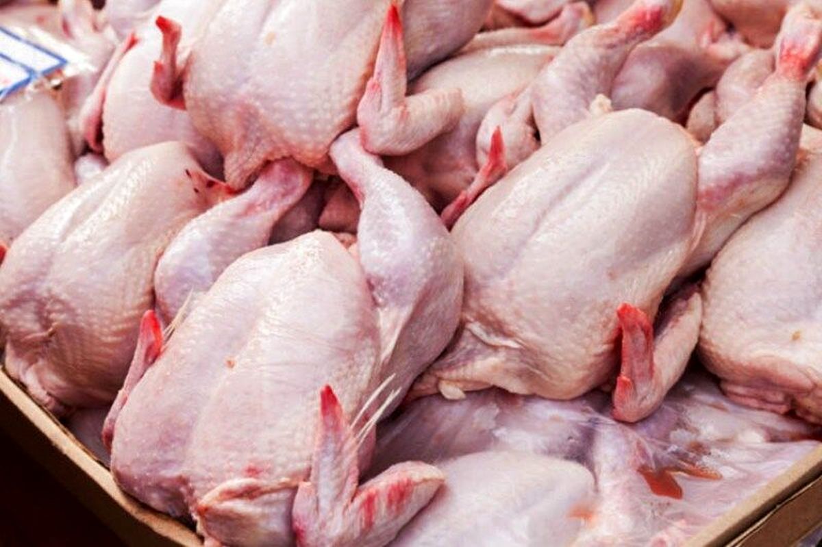 اصلاح قیمت مرغ براساس هزینه‌های تولید در سال جدید اعلام می‌شود