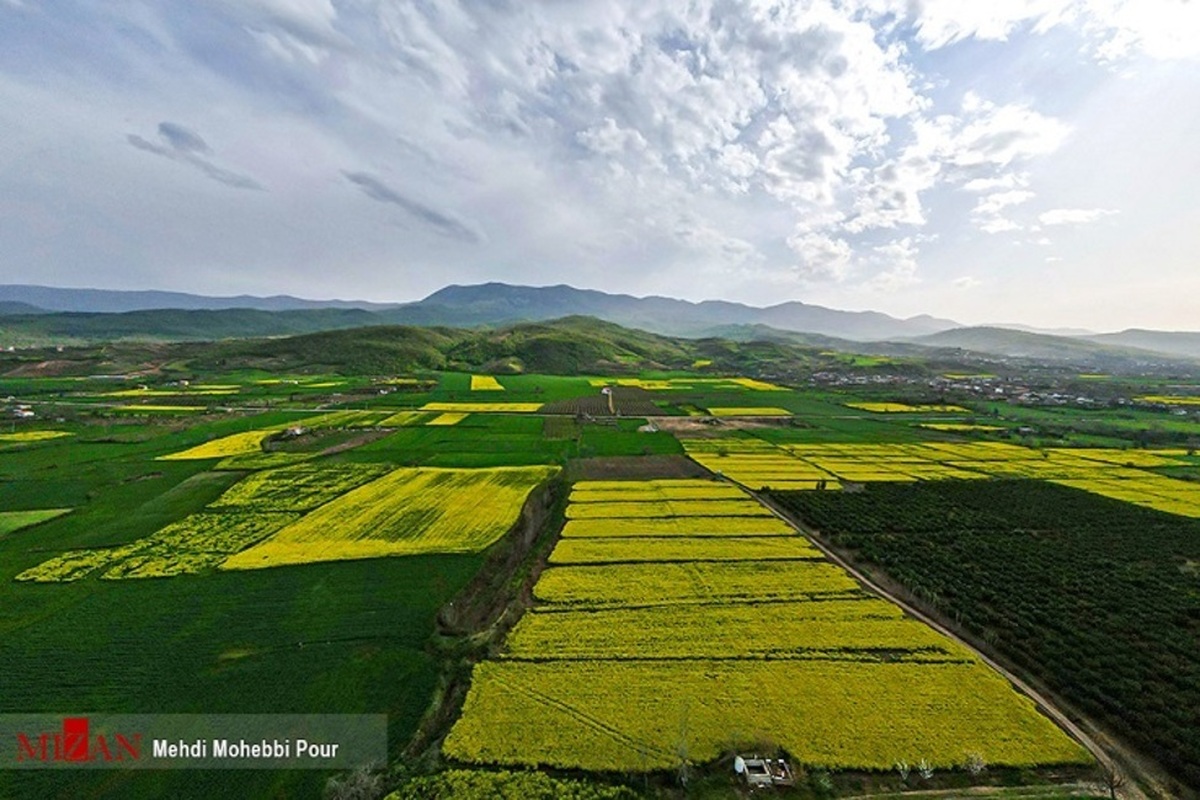 ۲۹ درصد از اراضی کشاورزی در استان کهگیلویه و بویر احمد در سال ۱۴۰۱ حد نگاری شد