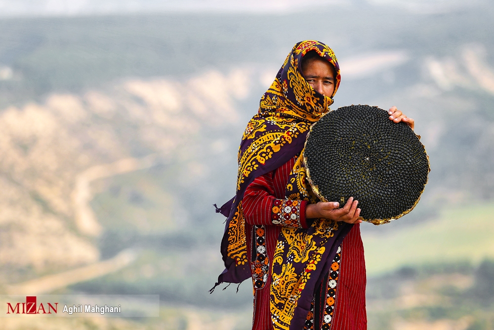 آشنایی با ۵ استان شمالی کشور برای سفر در نوروز آشنایی با ۵ استان شمالی کشور برای سفر در نوروز