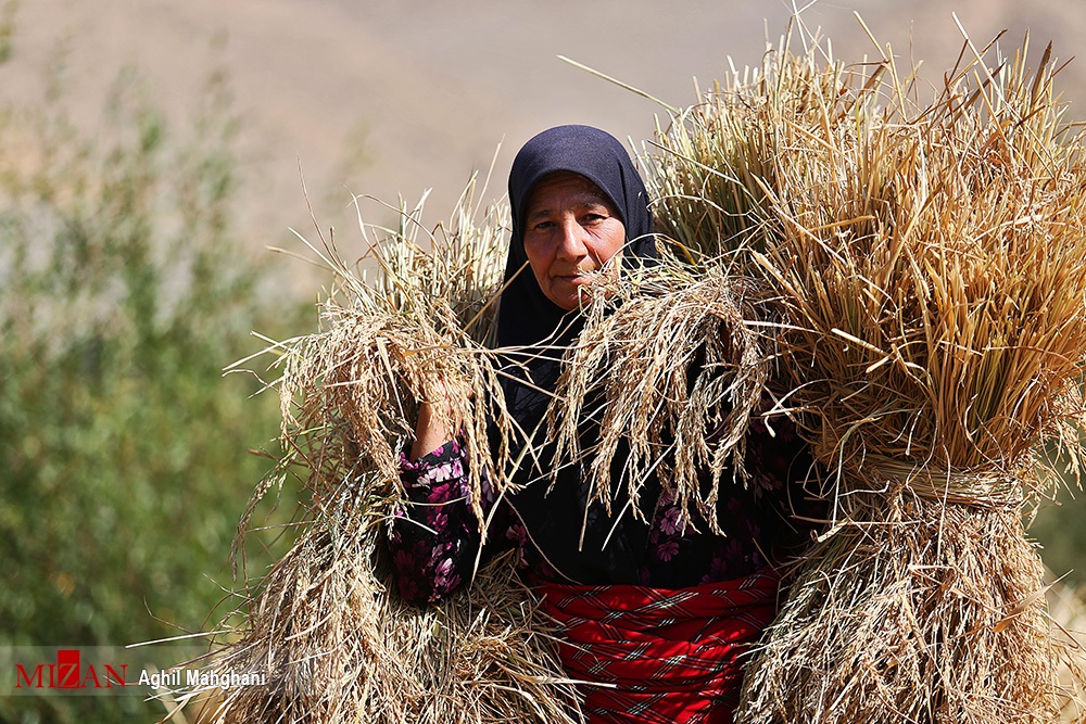 آشنایی با ۵ استان شمالی کشور برای سفر در نوروز آشنایی با ۵ استان شمالی کشور برای سفر در نوروز