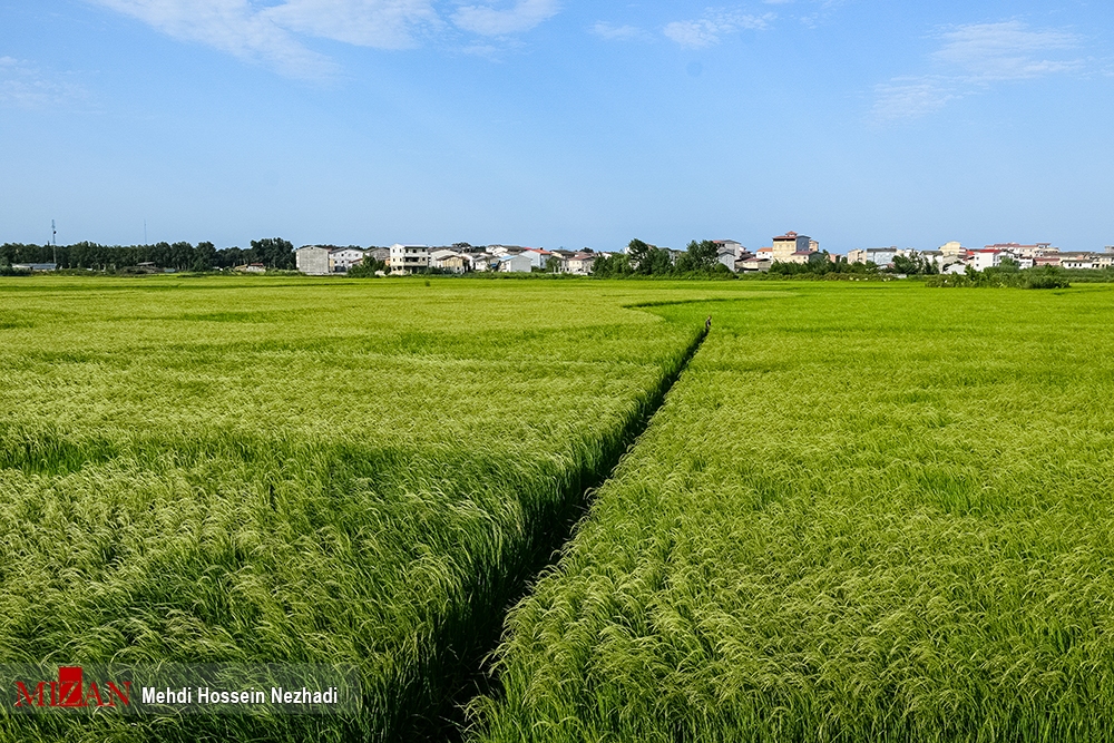 آشنایی با ۵ استان شمالی کشور برای سفر در نوروز آشنایی با ۵ استان شمالی کشور برای سفر در نوروز