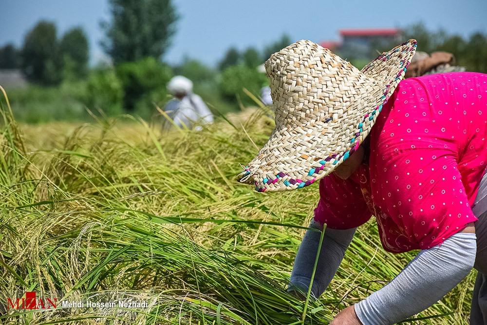 آشنایی با ۵ استان شمالی کشور برای سفر در نوروز آشنایی با ۵ استان شمالی کشور برای سفر در نوروز
