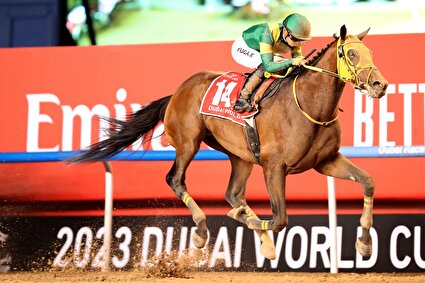 جام جهانی اسب سواری دبی