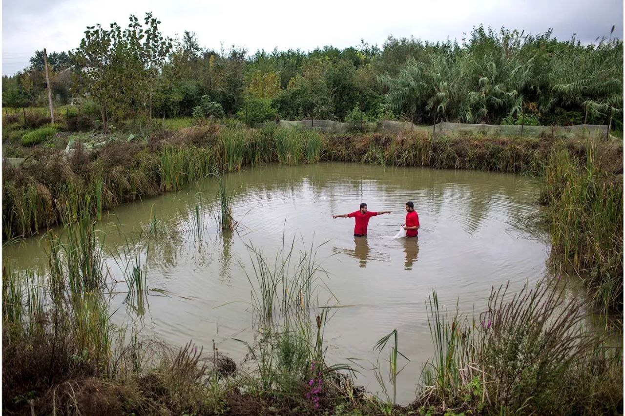 قهرمان شدن آنقدر که ما تصور میکنیم دور از دسترس نیست/ ما در جدایی هم جمع محسوب میشدیم قهرمان شدن آنقدر که ما تصور میکنیم دور از دسترس نیست/ ما در جدایی هم جمع محسوب میشدیم