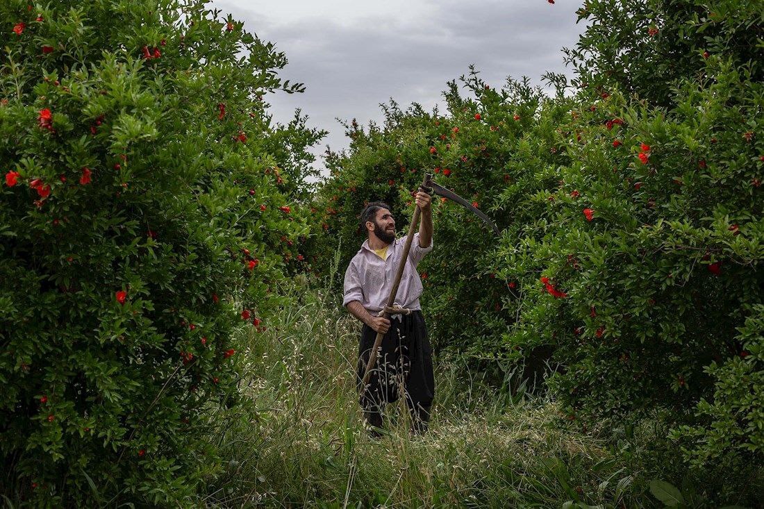 قهرمان شدن آنقدر که ما تصور میکنیم دور از دسترس نیست/ ما در جدایی هم جمع محسوب میشدیم قهرمان شدن آنقدر که ما تصور میکنیم دور از دسترس نیست/ ما در جدایی هم جمع محسوب میشدیم