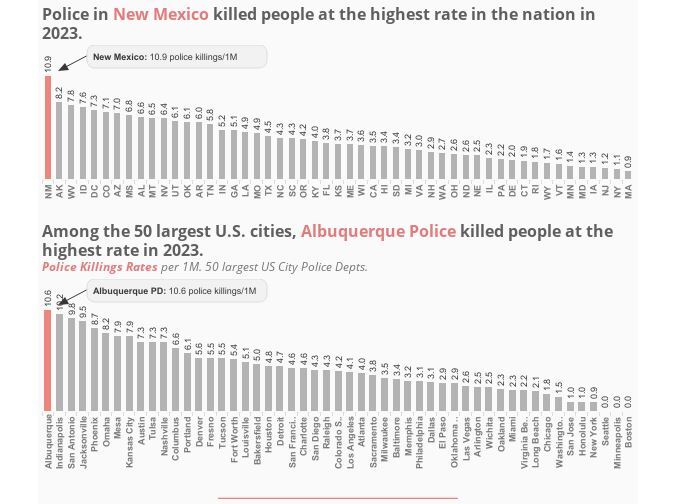 قتل هزار و ۲۰۰ شهروند آمریکایی به دست پلیس در سال ۲۰۲۳