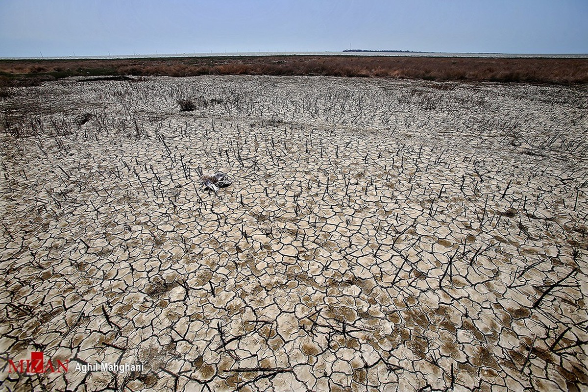 دادستان مرکز استان خراسان رضوی خواستار اعمال نظارت جدی در زمینه اجرای طرح‌های بیابان‌زدایی شد